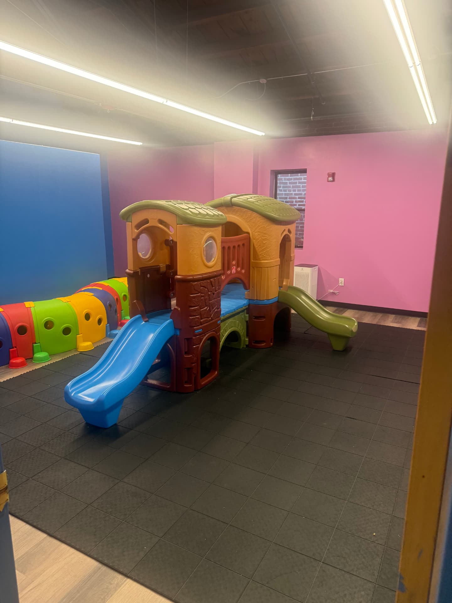 Indoor play structure with slides and crawl tunnel
